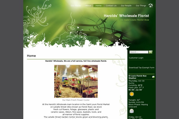 Green-light theme site design template sample