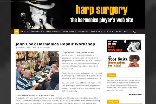 harpsurgery.com site used Harp-surgery-2