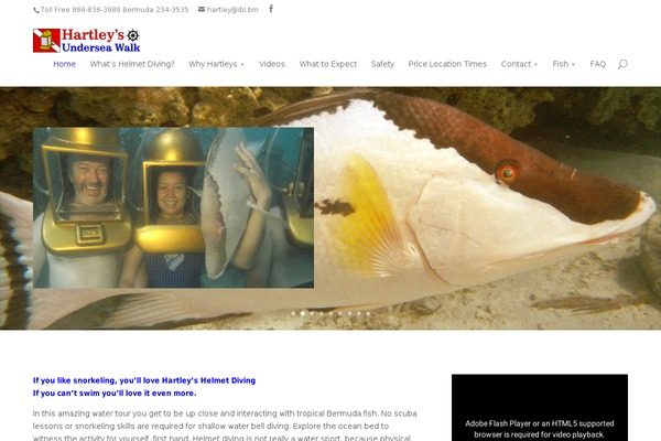 Divi theme site design template sample