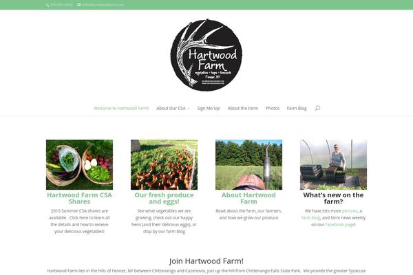 Divi theme site design template sample