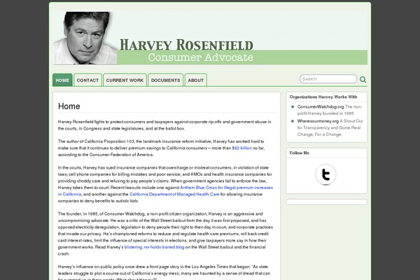 WordPress website example screenshot
