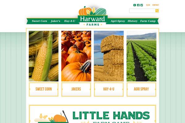 Site using Contact Form 7 plugin