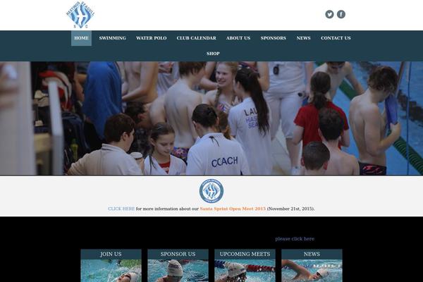 seagull theme websites examples