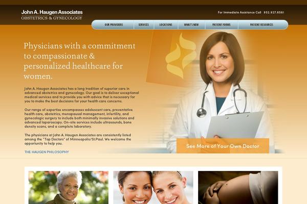 WordPress website example screenshot
