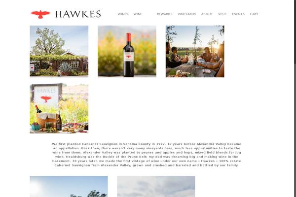 Site using All in One SEO Pack plugin