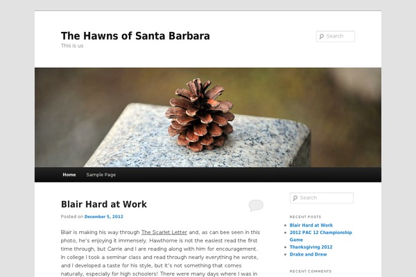 WordPress website example screenshot
