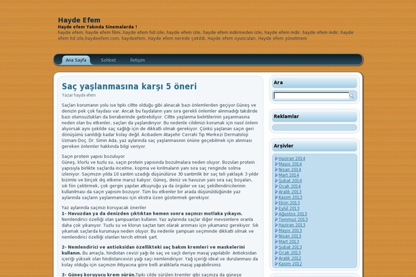 haydeefem.org site used Wsseo