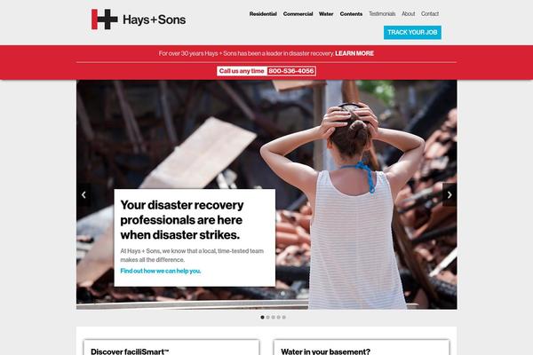 haysandsons.com site used Hays