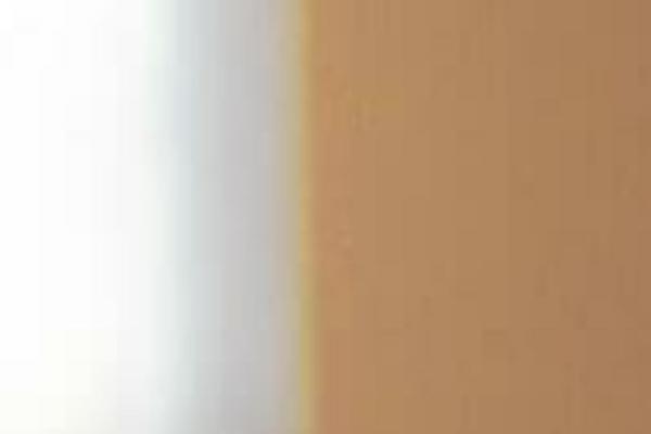 hayukaohji.com site used Dial_special_template_1_0_1
