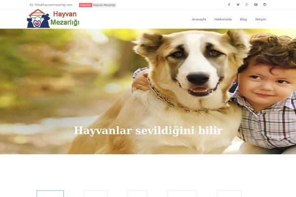 hayvanmezarligi.com site used Myuniversity