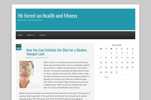 WordPress website example screenshot