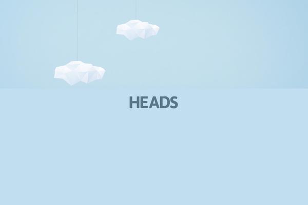 heads theme websites examples