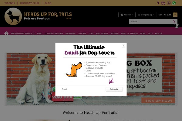Nexus-1.6 theme websites examples