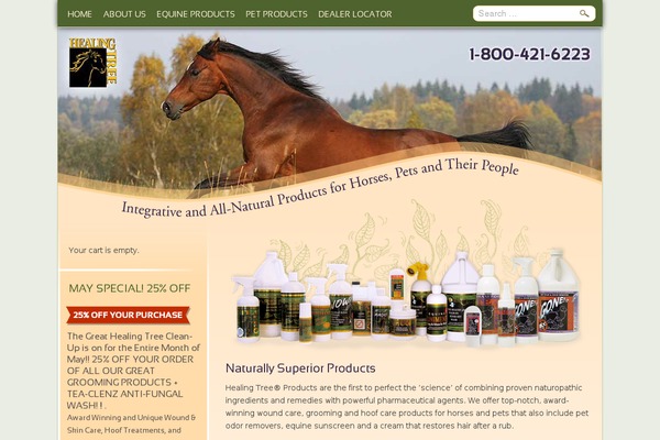 WordPress website example screenshot