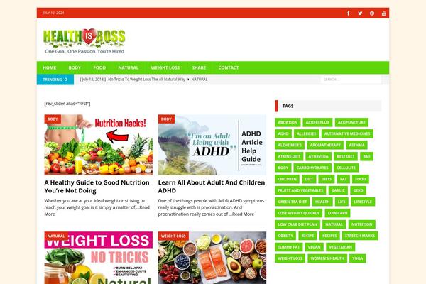 MH Magazine theme site design template sample