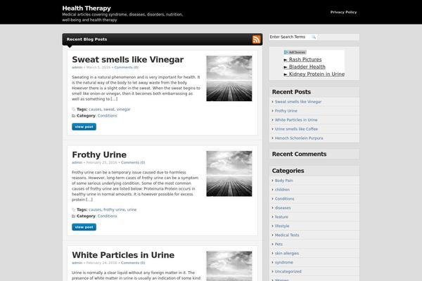 Sinatra Child Theme theme site design template sample