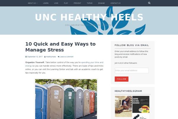 WordPress website example screenshot