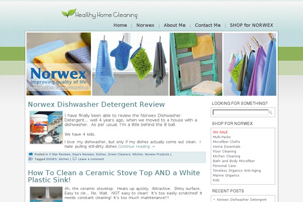 healthyhomecleaning.com site used Healthy-home-cleaning-30