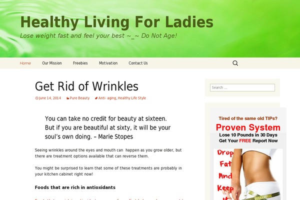 WordPress website example screenshot