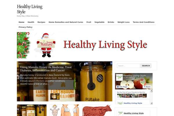zonemag theme websites examples