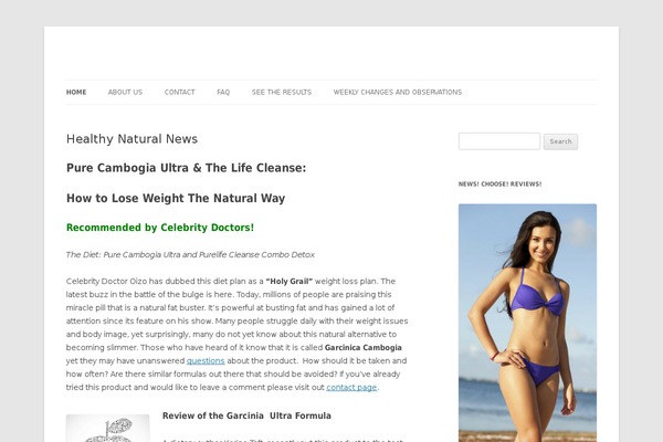 Twenty Twelve theme site design template sample