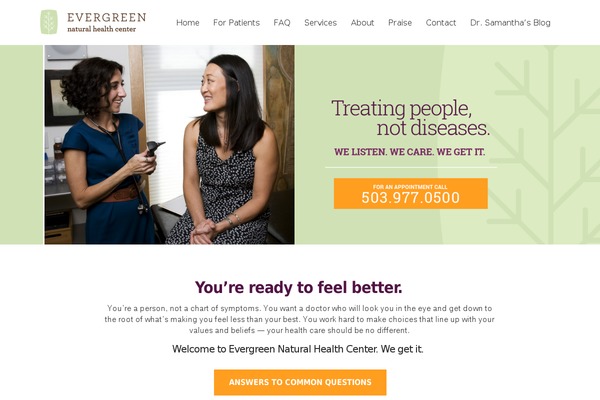 WordPress website example screenshot