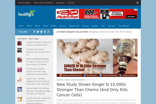 WordPress website example screenshot
