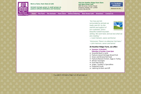 WordPress website example screenshot