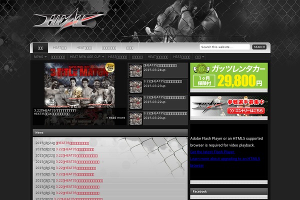 Platinum theme site design template sample