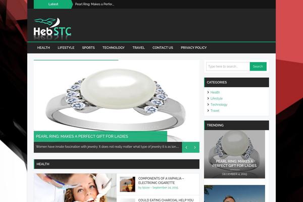 Bzine theme site design template sample