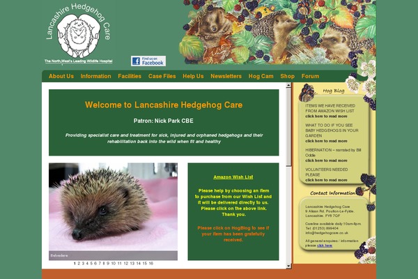 hedgehogcare.co.uk site used Hedgehogcare