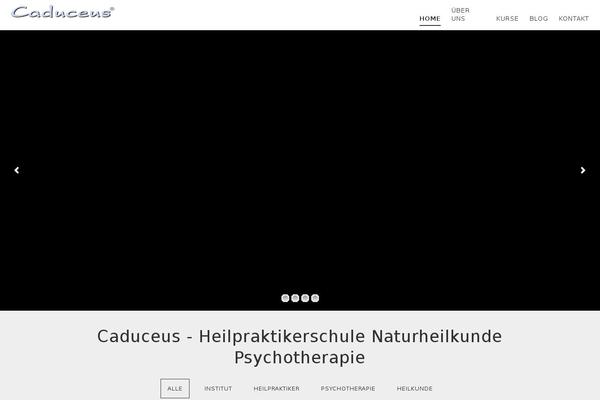 heilpraktikerschulen.info site used Conceptthemeres