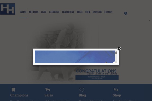 Site using Responsive Lightbox by dFactory plugin