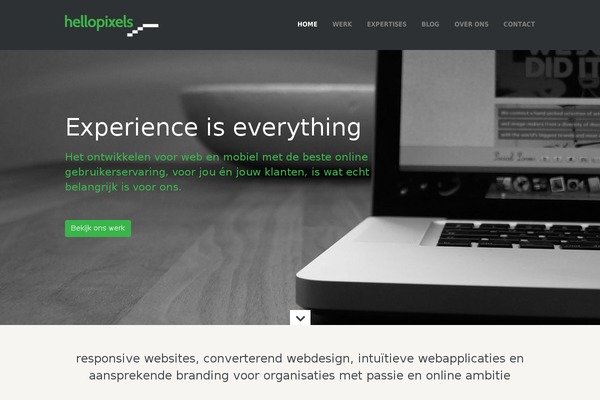 WordPress website example screenshot