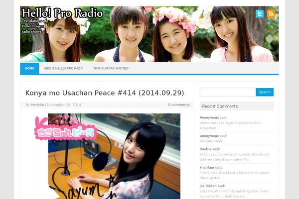 WordPress website example screenshot