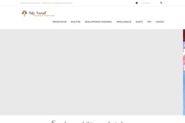 Vixen theme site design template sample
