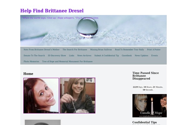 Silver Spot theme site design template sample