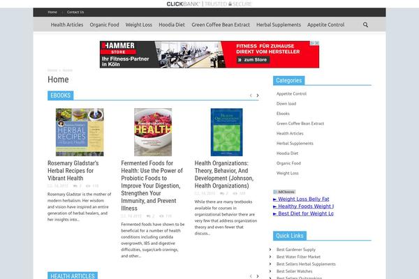 Newspaper theme site design template sample