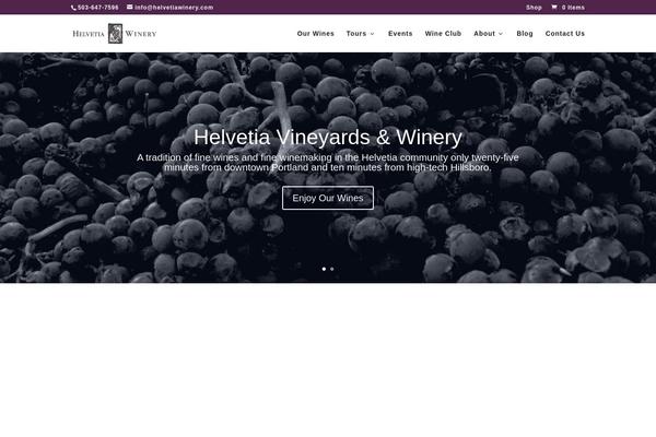 Divi theme site design template sample