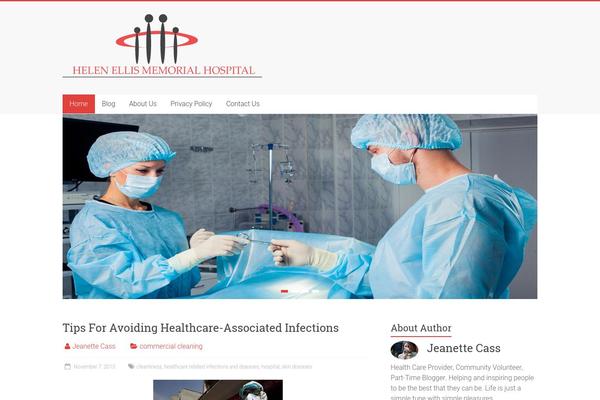 WordPress website example screenshot