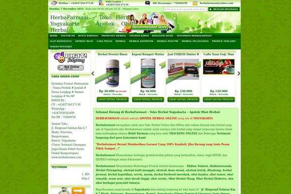 IndoStore theme site design template sample