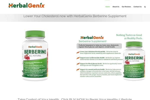 WordPress website example screenshot