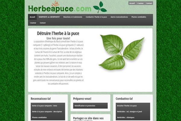 Responsive theme site design template sample