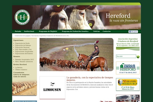 Hereford theme site design template sample