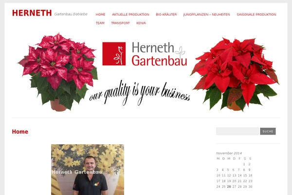 Yoko theme site design template sample