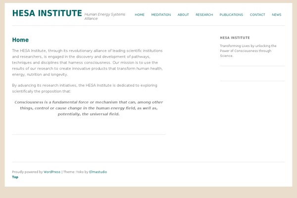 hesainstitute.com site used Yoko