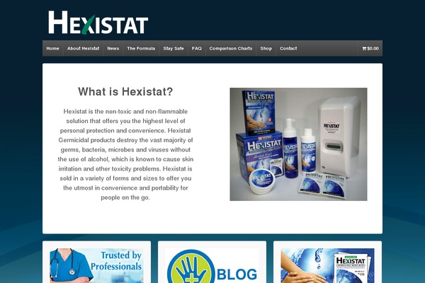 WordPress website example screenshot