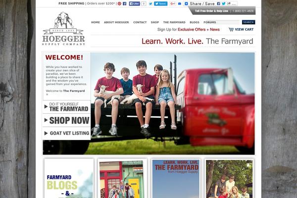 hgsdev.com site used Hoegger