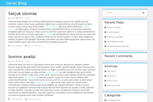 WordPress website example screenshot