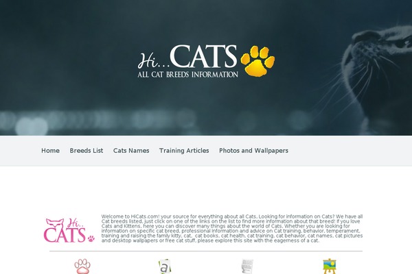 hicats.com site used Cats